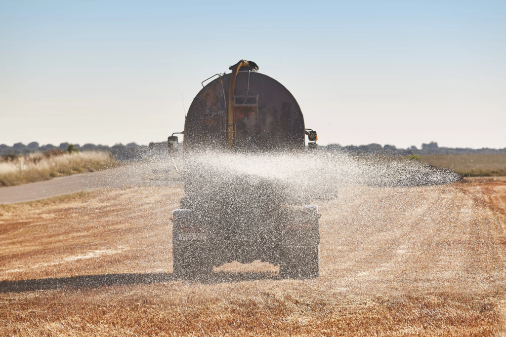 Camion citerne à eau irriguant un champ de blé avec de l'eau fraîche